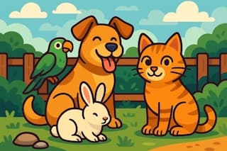 Generate perfect pet names for dogs, cats, birds, fish, reptiles, and all types of beloved animal companions.