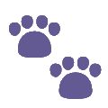 Animals Generators icon